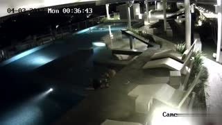 [香港] 某酒店一对情侣~半夜睡不着叫~到顶楼的游泳池激烈爆操一?