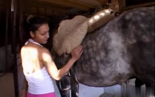 「在真正的動物親密關係中與馬的熱氣騰騰的房子妻子色情場面